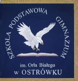 Orze³ Bia³y - Szko³a Podstawowa - Ostrówek. Piotr Mierzejewski - Sztandar